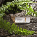 Intenso Green Line 64GB USB Mälupulk 3.2 Gen 1