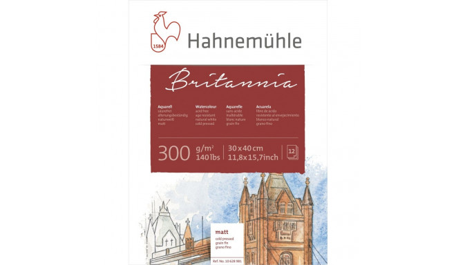 Hahnemühle Britannia akvarellipaber külmpressitud 30x40cm 300g 12 lehte