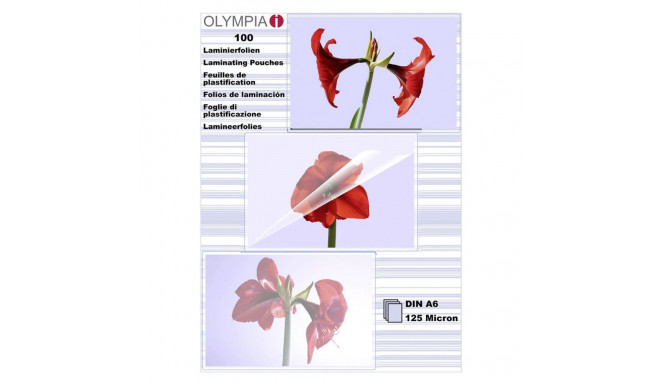 1x100 Olympia lamineerimiskiled DIN A6 125 mikronit 9178