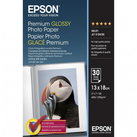 Epson Premium Glossy Photo Paper 13x18cm, 30 Sheet, 255g  S042154