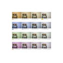 Godox SA-11T color temperature adjustment kit