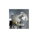 walimex pro LED Niova 100 plus Päevavalgus
