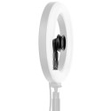 Fidlock VACUUM kruvialus