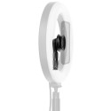 Fidlock VACUUM kruvialus