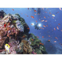 Sealife Sea Dragon 5000+ with Color Boost Light Head (SL680-1)