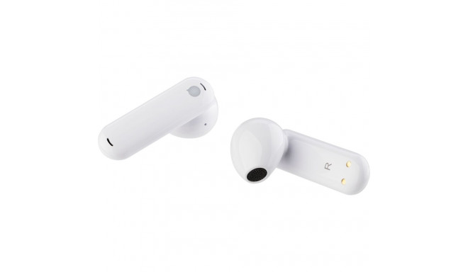TimeKettle WT2 Edge offline portable translation device