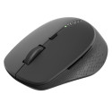 Rapoo M300 Dark gray Multi-Mode Wireless Mouse
