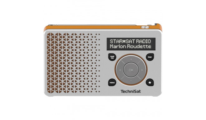 Technisat DigitRadio 1 silver/orange