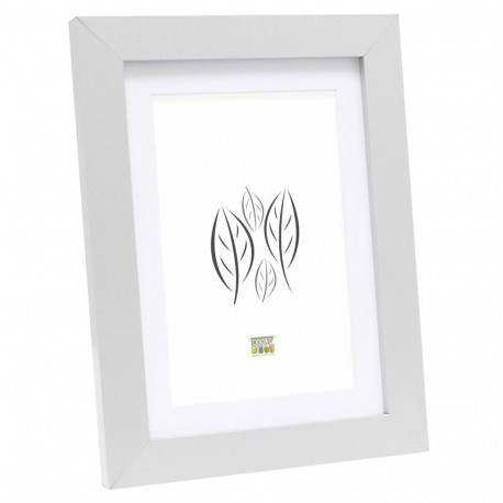 Deknudt S66KD1 P1 30x45 puit hõbedane paspartuuga