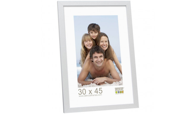 Deknudt S44CD1             30x45 Wood silver