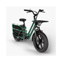 Elektriline kargoratas FIIDO T2 Longtail Cargo, Forest Green
