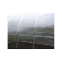 Greenhouse multiwall sheet / clear polycarbonate 2100x6000mm - 4mm, 8pcs.
