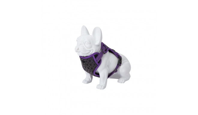 Freedog Boreal sirelilillad traksid koerale 20mm 38-75cm