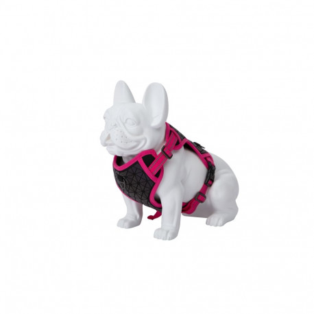 Freedog Boreal fuksiaroosad traksid koerale 25mm 45-90cm
