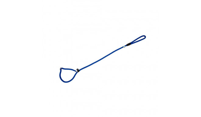 Freedog sinine kaelarihm-jalutusrihm koerale 13mm x 120cm