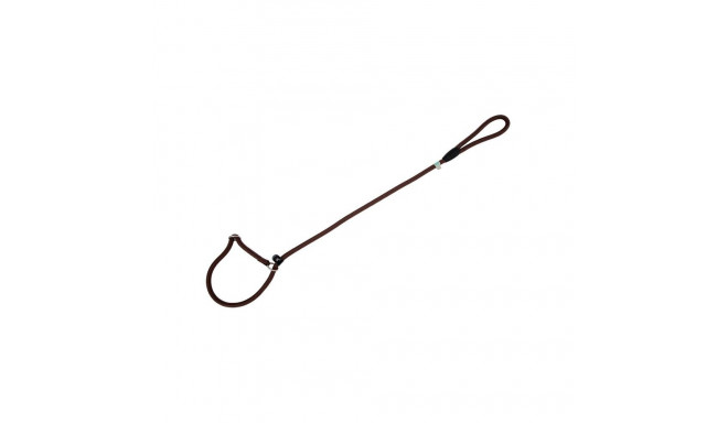 Freedog pruun kaelarihm-jalutusrihm koerale 13mm x 120cm