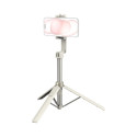SmallRig 4730 Portable Selfie Stick Tripod ST-25 White