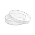 Plastic Petri dishes (55 mm)
