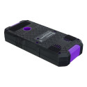 Ermenrich Ping SM70 Stud Detector