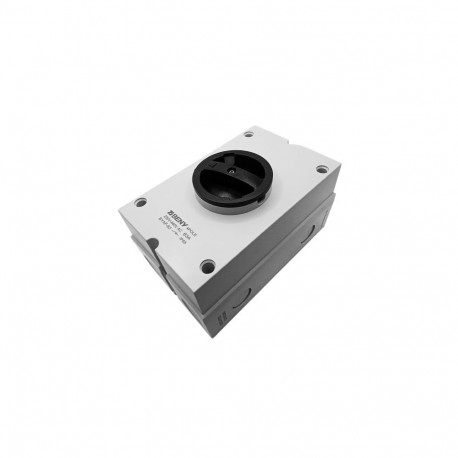 AC Isolator Switch - 4P, 63A, 230VAC, IP65