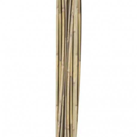 Bambuskepid taimede toestamiseks IN GARDEN H150cm 10tk D10/12mm