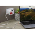 Laadija Skross World USB AC45PD