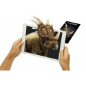 Liitreaalsuskaardid Octagon 4D dinosaurused