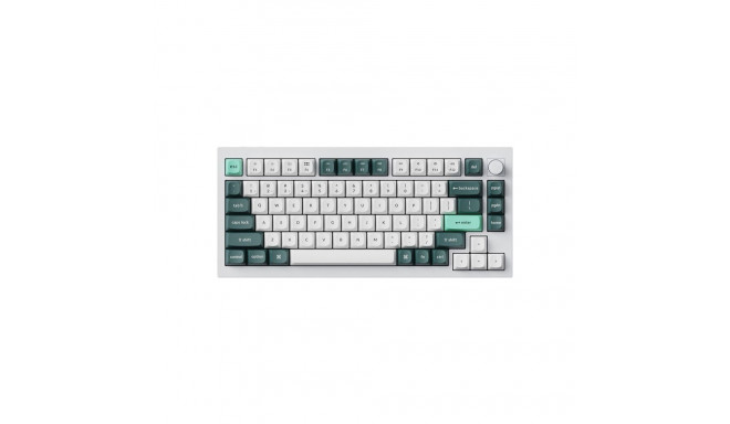 Keychron Q1 HE Wireless Keyboard RGB Nebula Magnetic Switch (White) [Q1H-P1].