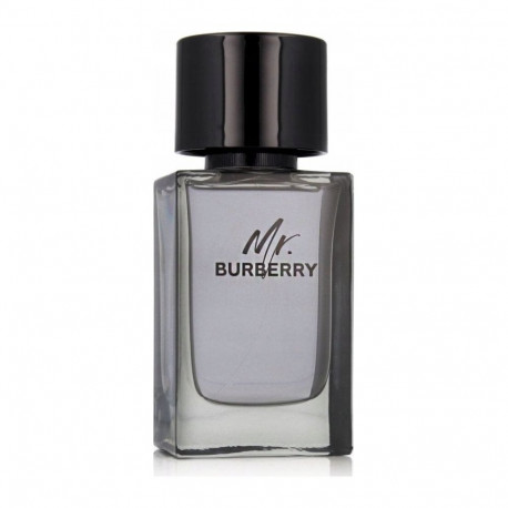 Burberry Mr. Burberry tualettvesi pihustiga
