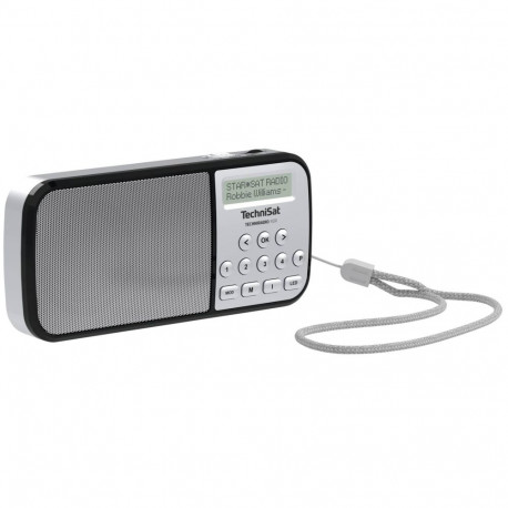 TechniSat Techniradio RDR DAB+ Radio silver