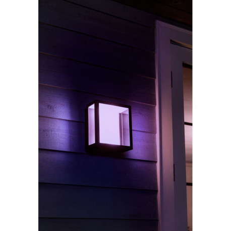 Philips Hue WCA Impress Outdoor Wall Large Lantern | 8 W | 2000-6500 Hue White Colour Ambiance