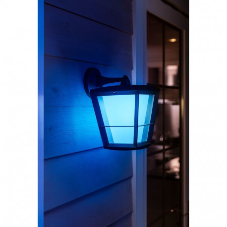 Philips Hue WCA Econic Outdoor Wall Lantern | 15 W | 2000-6500 Hue White Colour Ambiance