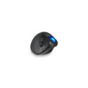 Kensington ProFit Ergo TB450 juhtmevaba hiir, RF juhtmevaba + Bluetooth, 1600 DPI, must/sinine