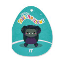 Squishmallows W21 pehme mänguasi, 19 cm