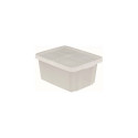 Essentials 26L karp kaanega 34x44x27cm läbipaistev 3253920755001