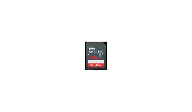 Sandisk Ultra SDXC SDHC 256GB mälukaart
