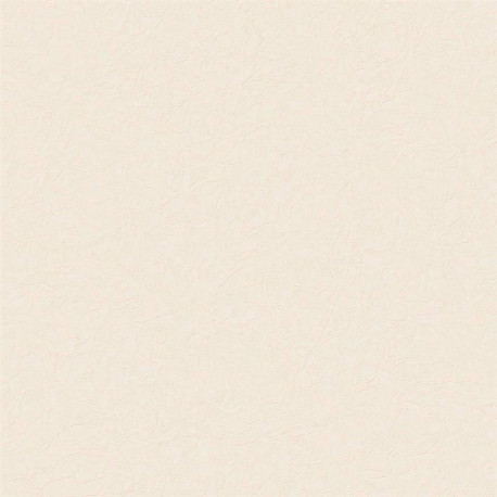 WALLPAPER 541203 PAINT COLOR (6)