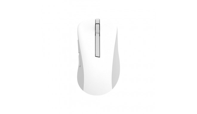 Asus juhtmevaba hiir MD102 2.4 GHz, Bluetooth valge