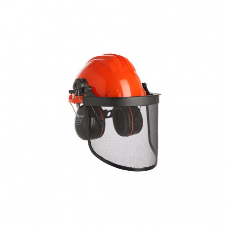 Protective helmet with mesh and earmuffs Climax 43