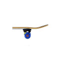 Nils Extreme CR3108SB SK8BOY Skateboard (classic) Wood Black, Multicolour