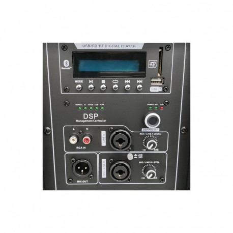 DNA aktiivkõlar SPX15 DSP 15"