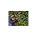 Einhell GC-EH 6055/1 ühe teraga 600 W 3,47 kg