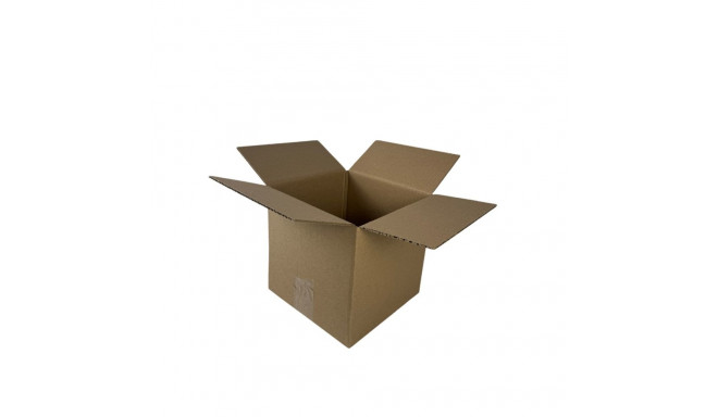 Flap carton BESTPAK 300x300x100 mm 3W 380G/M2 20 tk hallpruun