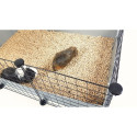 C&C Modular cage 3x2 110x75 cm guinea pig, hedgehog, silver grey
