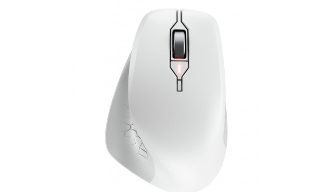 CHERRY STREAM MOUSE COMFORT