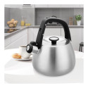 Kettle Maestro MR-1318 2,5 l Silver, Black
