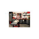 Einhell TC-TS 315 U 2950 RPM