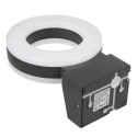 Maclean LED lamp, seinapealne, PIR-anduriga, PC+ALU, 20W, 1700lm, IP65, Neutraalne Valge 4000K, hall