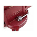 AWTOOLS AW24226 bench vices