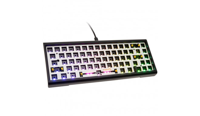 Ducky Tinker65 keyboard Gaming USB US English Black